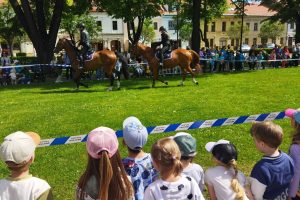 IMG_20250530_102758