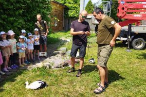 IMG_20250618_141829